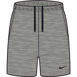 Nike Pantaloncini Team Park 20 Grigio